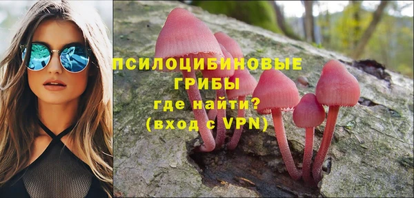 трава Медвежьегорск