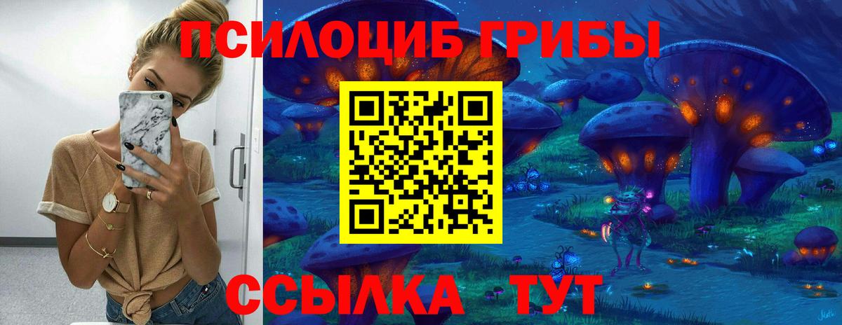 Грозный  Галлюциногенные грибы GOLDEN TEACHER  Вход с VPN  Галлюциногенные грибы ЛСД 