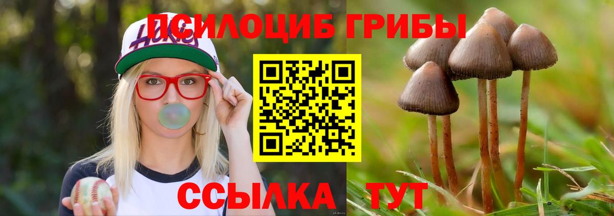 Псилоцибиновые грибы Magic Shrooms Грозный